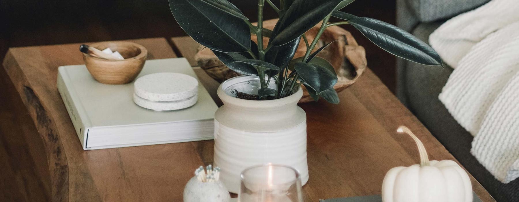 coffee table decorated with books, a potted plant, a candle and other knick-knacks